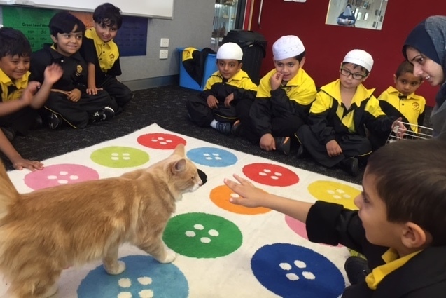 Foundation Students Learning about the Word “Cat