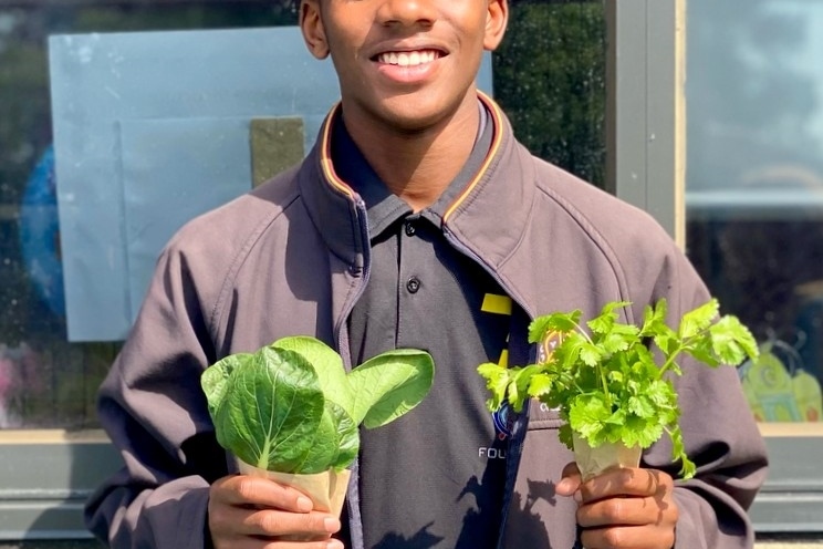 Year 9 KLIC: School Veggie Patch