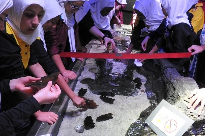 Year 7A Excursion: Melbourne Aquarium