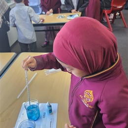 Year 3 Science Incursion: Heat and Energy