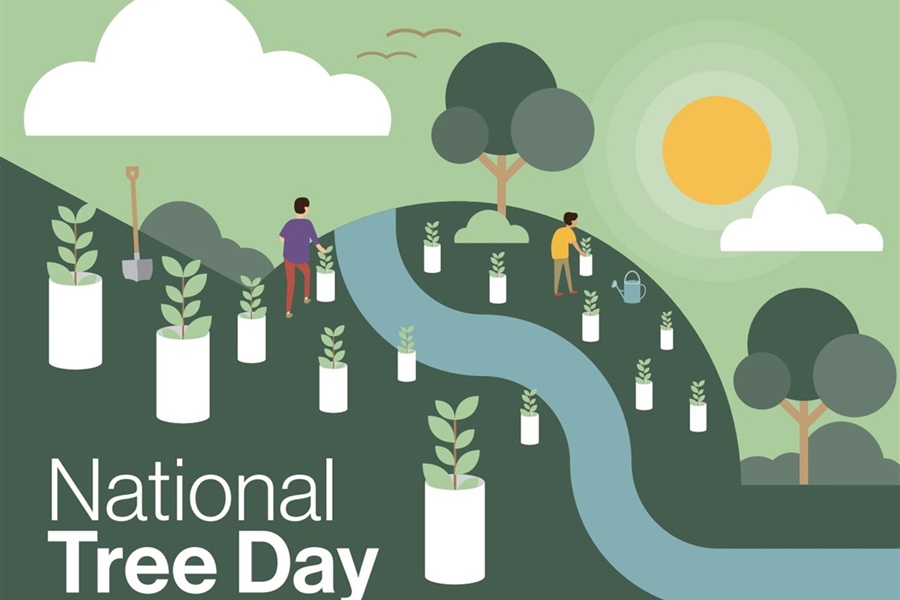 11 & 26 July: National Tree Day Planting in Wollert