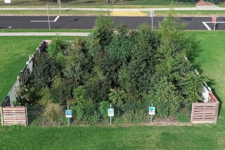 26 Sept: Creating Epping’s First Tiny Forest