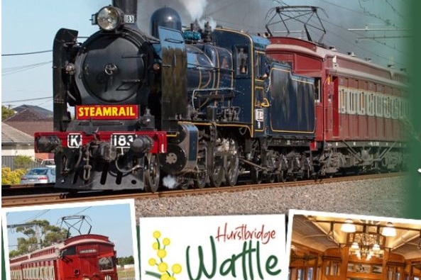 30 Aug: Hurstbridge Wattle Festival & Steam Train Rides
