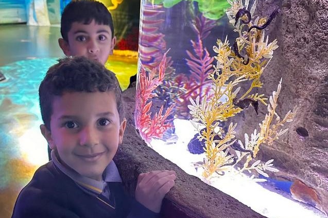 Foundation Students Visit Melbourne SEA LIFE Aquarium