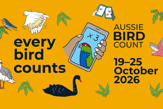 Join the 2026 Aussie Bird Count