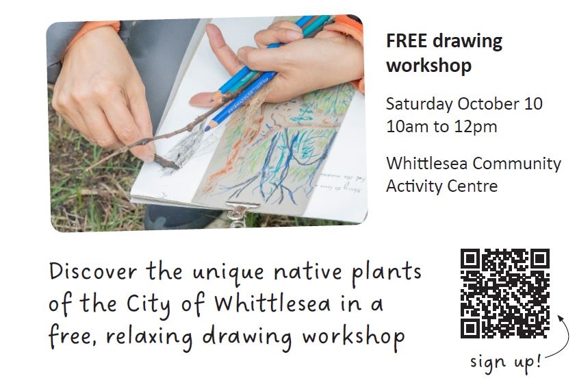 10 Oct: Drawing Plants Together Workshop