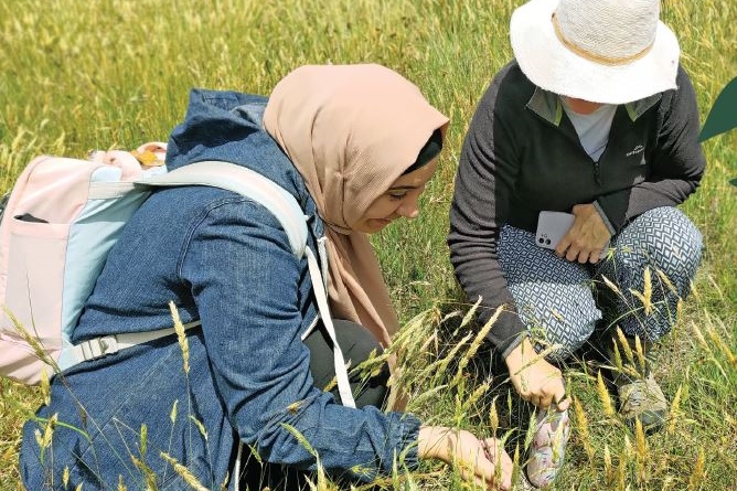Get Outdoors, Get Involved: Join the Nature Stewards Program
