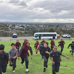 Year 5 and 6 Cross Country Competition 2024