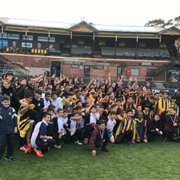 Bachar Houli Cup: Year 5 and 6