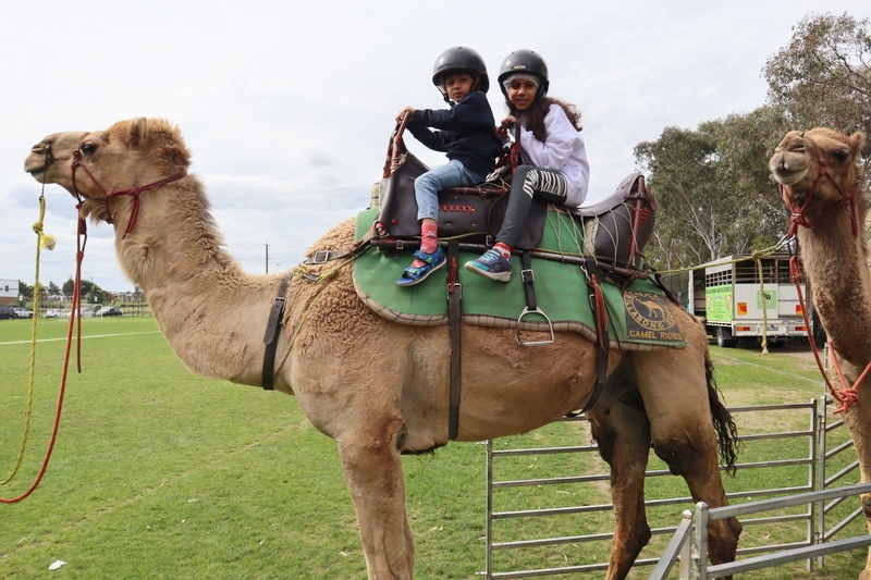 Al Siraat Family Fun Day: A Huge Success