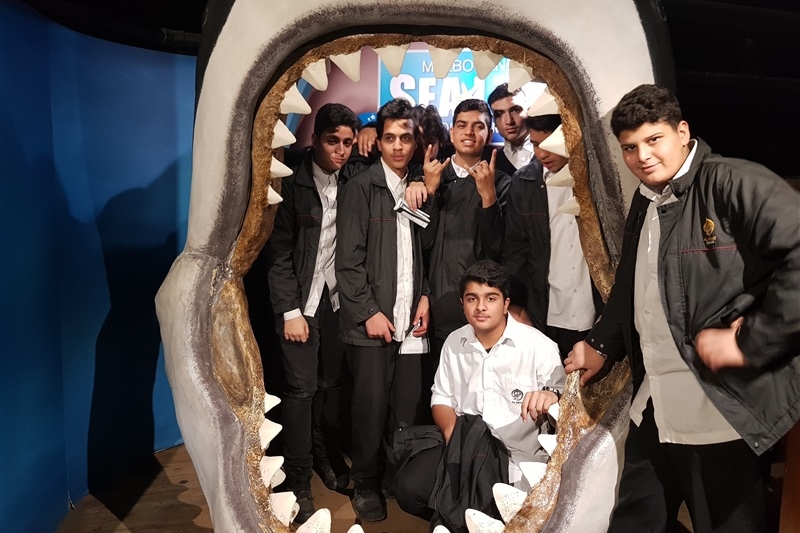 Year 9 Excursion: Melbourne Aquarium