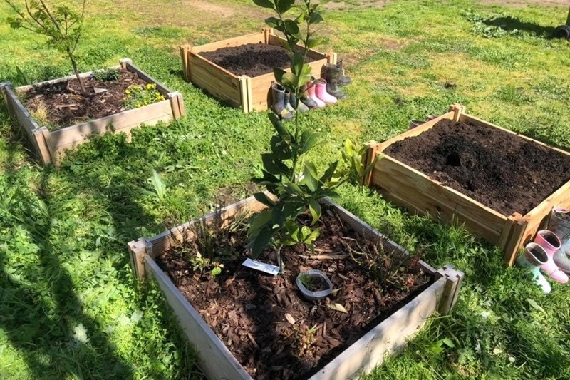 Launch of Sunday Gardening Club