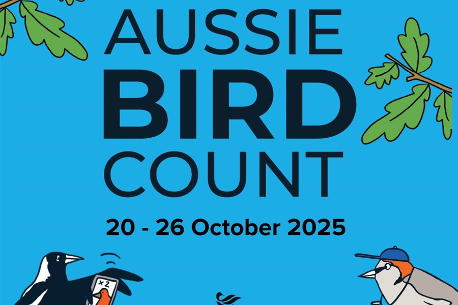 Sign up for the Annaul Aussie Bird Count