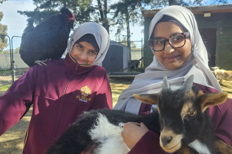 Springtime at our ASC Mini Farm