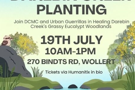 19 July: Darebin Creek Planting in Wollert