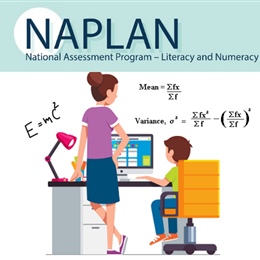 Year 3 and 5 NAPLAN Tutoring Sessions