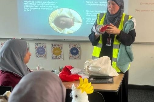 Year 8K: Wildlife Awareness Talk