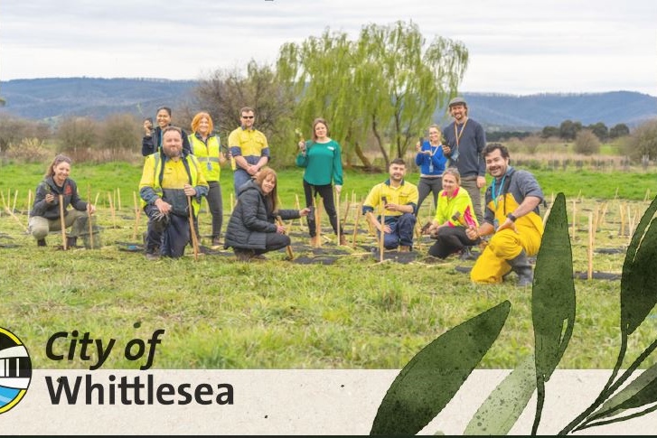 3 Aug: Tree Planting Day with The Hiking Tribe