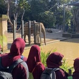 Year 5G: Melbourne Zoo Excursion