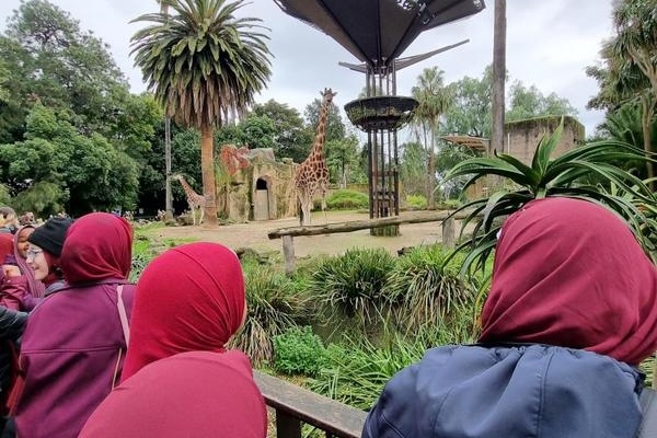 Year 5G: Melbourne Zoo Excursion