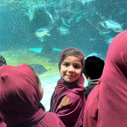 Foundation Excursion: SEA LIFE Melbourne Aquarium