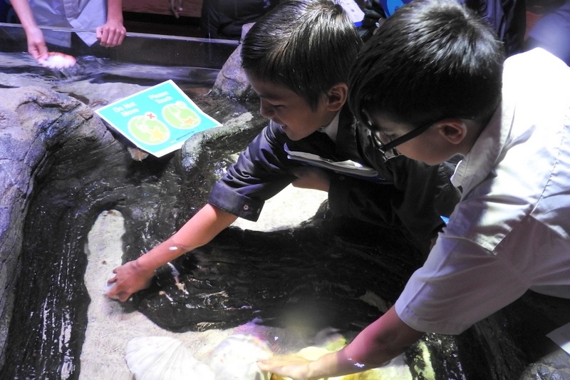 Year 7 Students Visit the Melbourne Aquarium