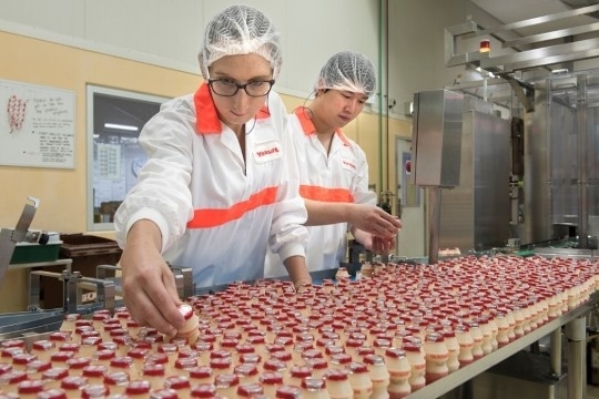 Year 12 Business Management Excursion: Yakult Factory