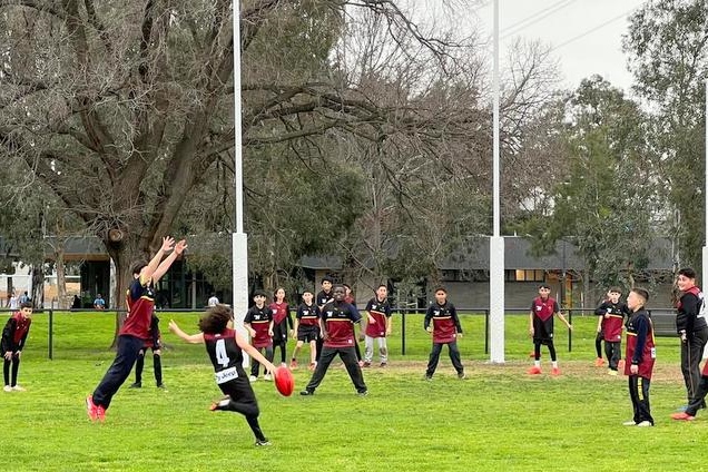 Years 4 – 6 Boys: Bachar Houli Cup 2026