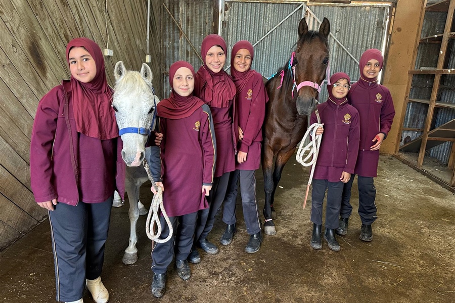Equestrian Program